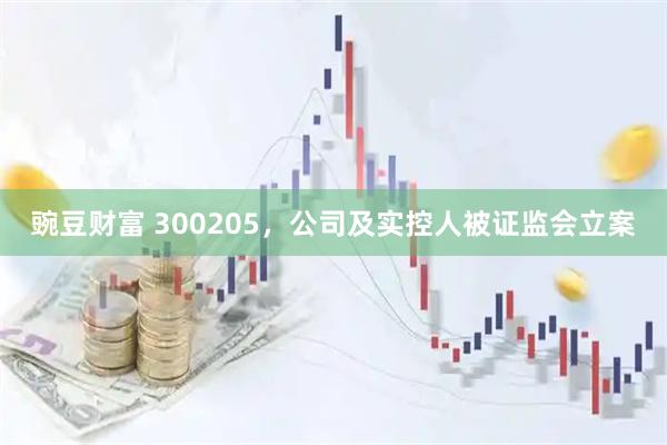 豌豆财富 300205，公司及实控人被证监会立案
