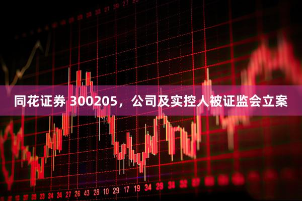同花证券 300205，公司及实控人被证监会立案