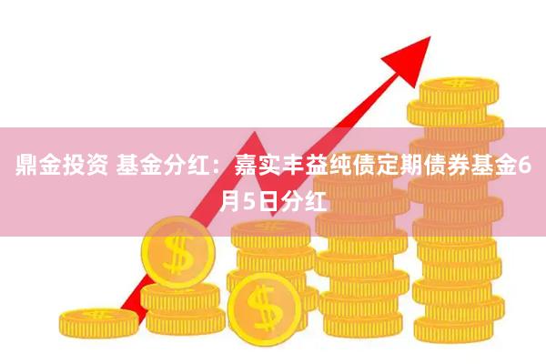鼎金投资 基金分红：嘉实丰益纯债定期债券基金6月5日分红