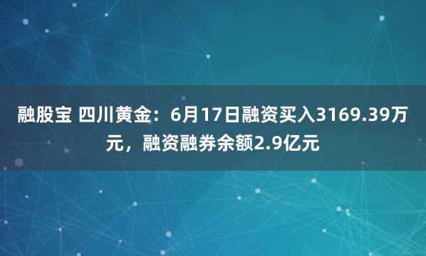 融股宝 四川黄金：6月17日融资买入3169.39万元，融资融券余额2.9亿元